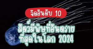 10 most venomous animals